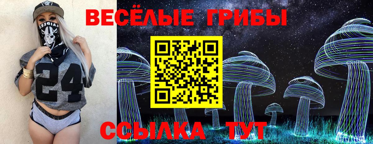 Ессентуки  Галлюциногенные грибы Cubensis  что такое   Вход с VPN  Галлюциногенные грибы ЛСД 