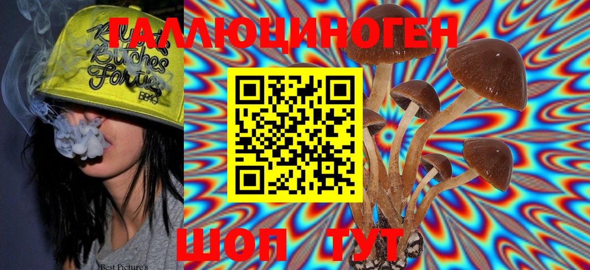 Галлюциногенные грибы Magic Shrooms Ессентуки